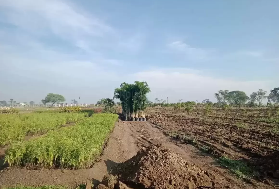 Farming ground